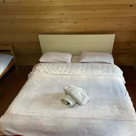 게스트하우스 Bujtina 2